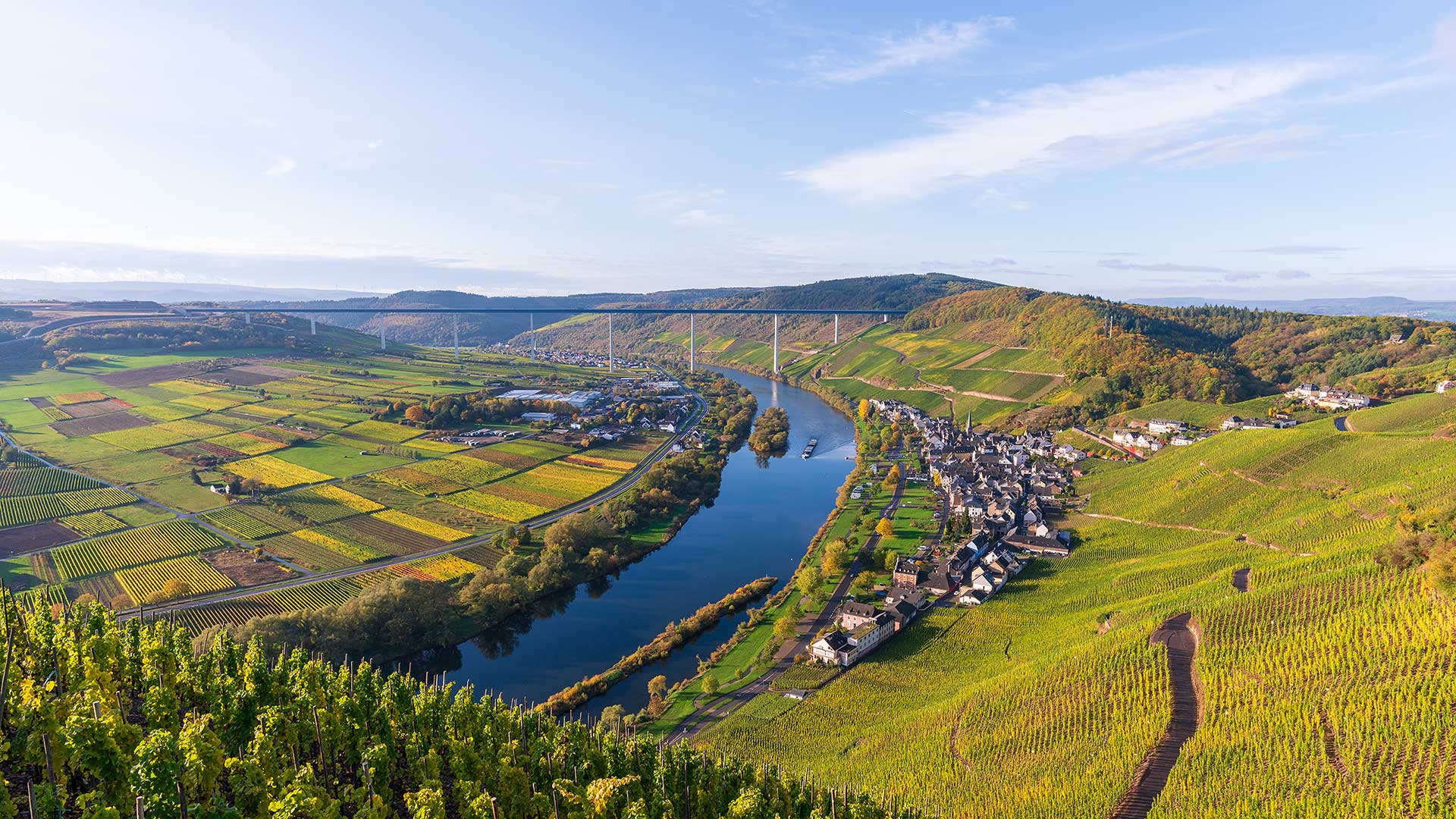 Blick auf Ürzig an der Mosel