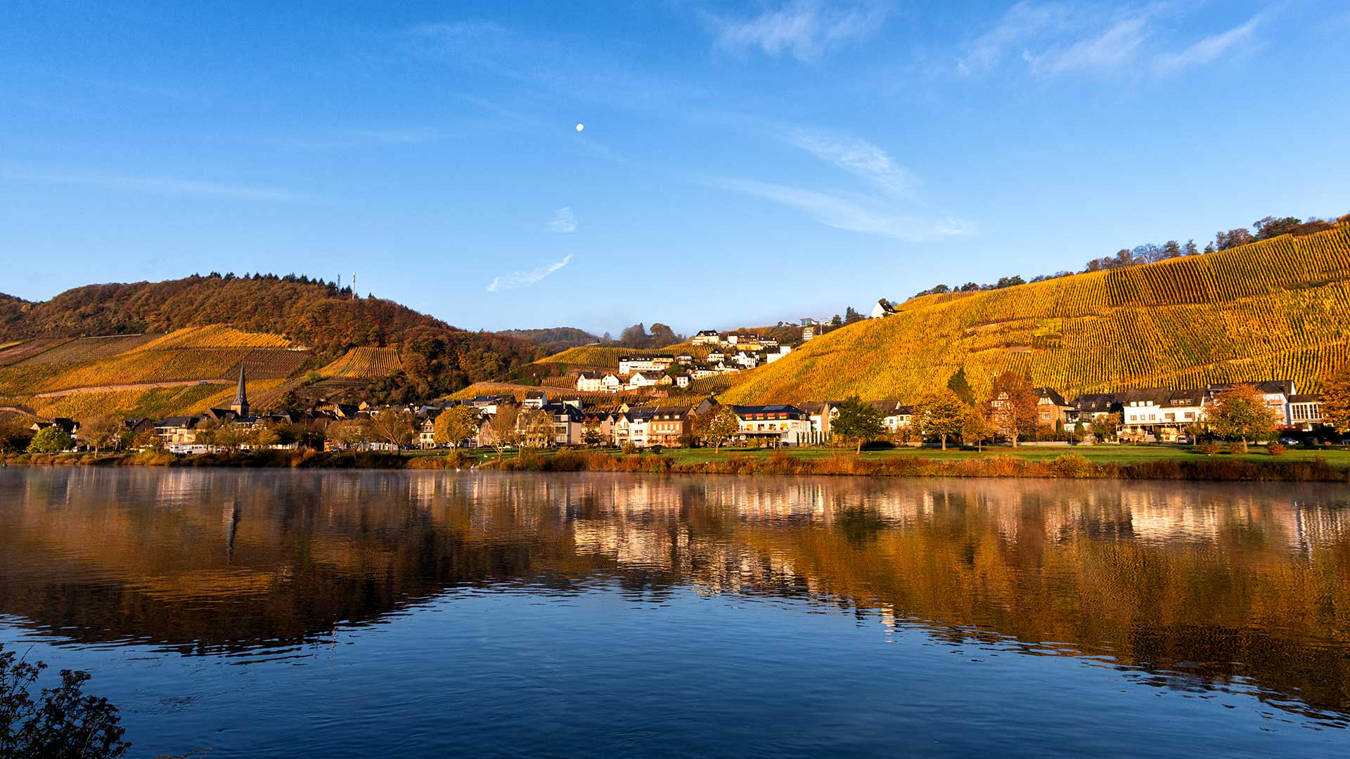 Blick auf Ürzig an der Mosel