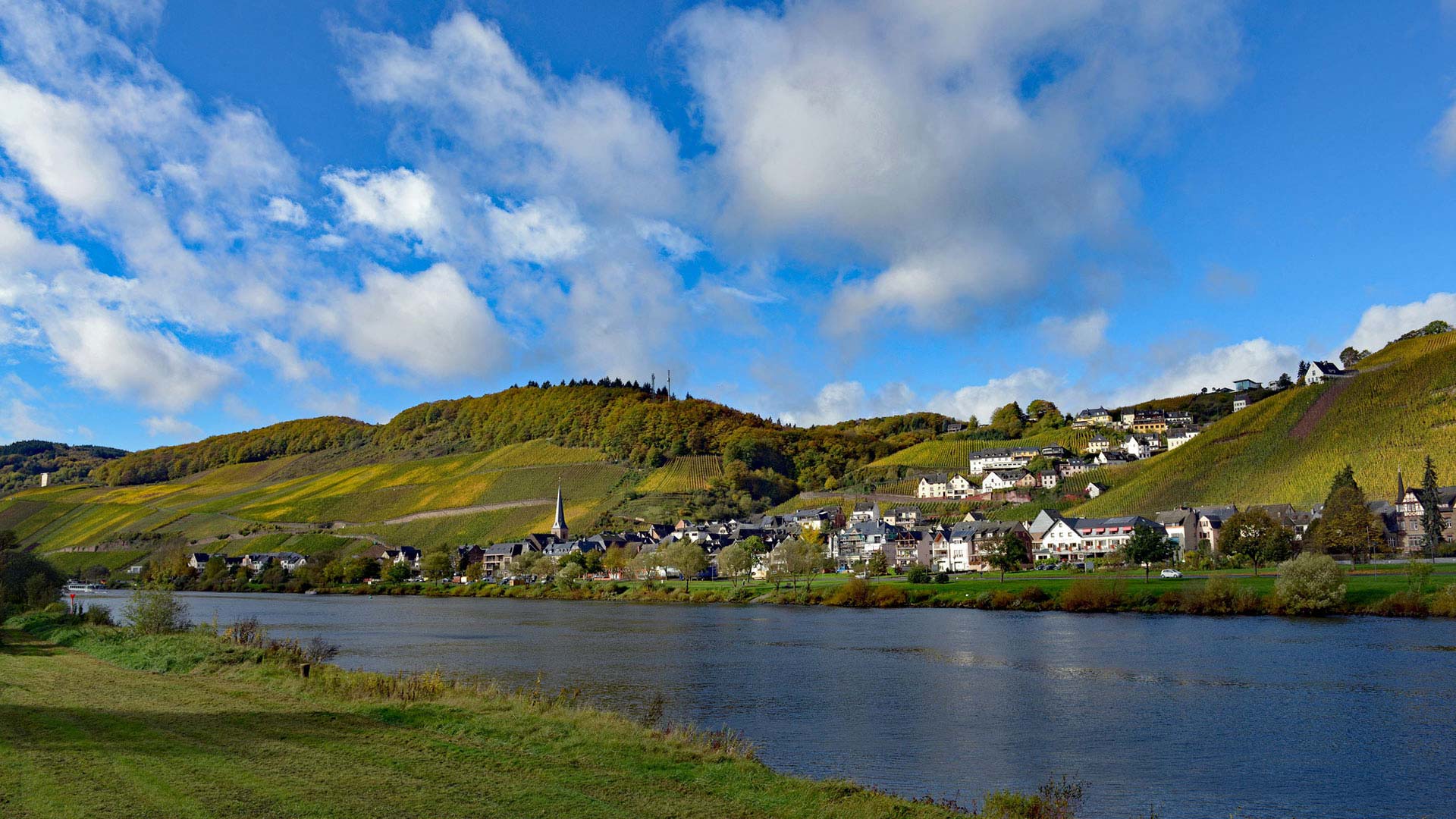 Blick auf Ürzig an der Mosel