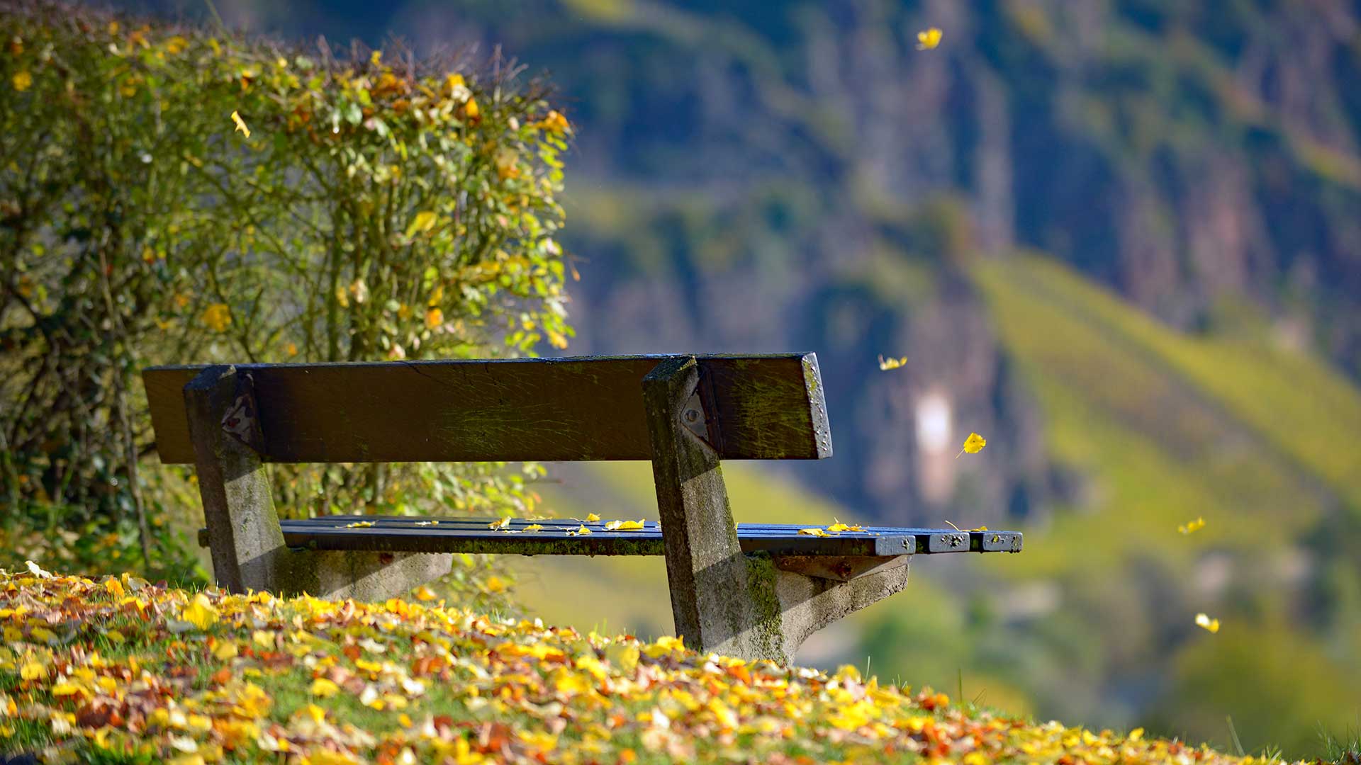 Bank in Ürzig an der Mosel mit Blick auf die Sonnenuhr