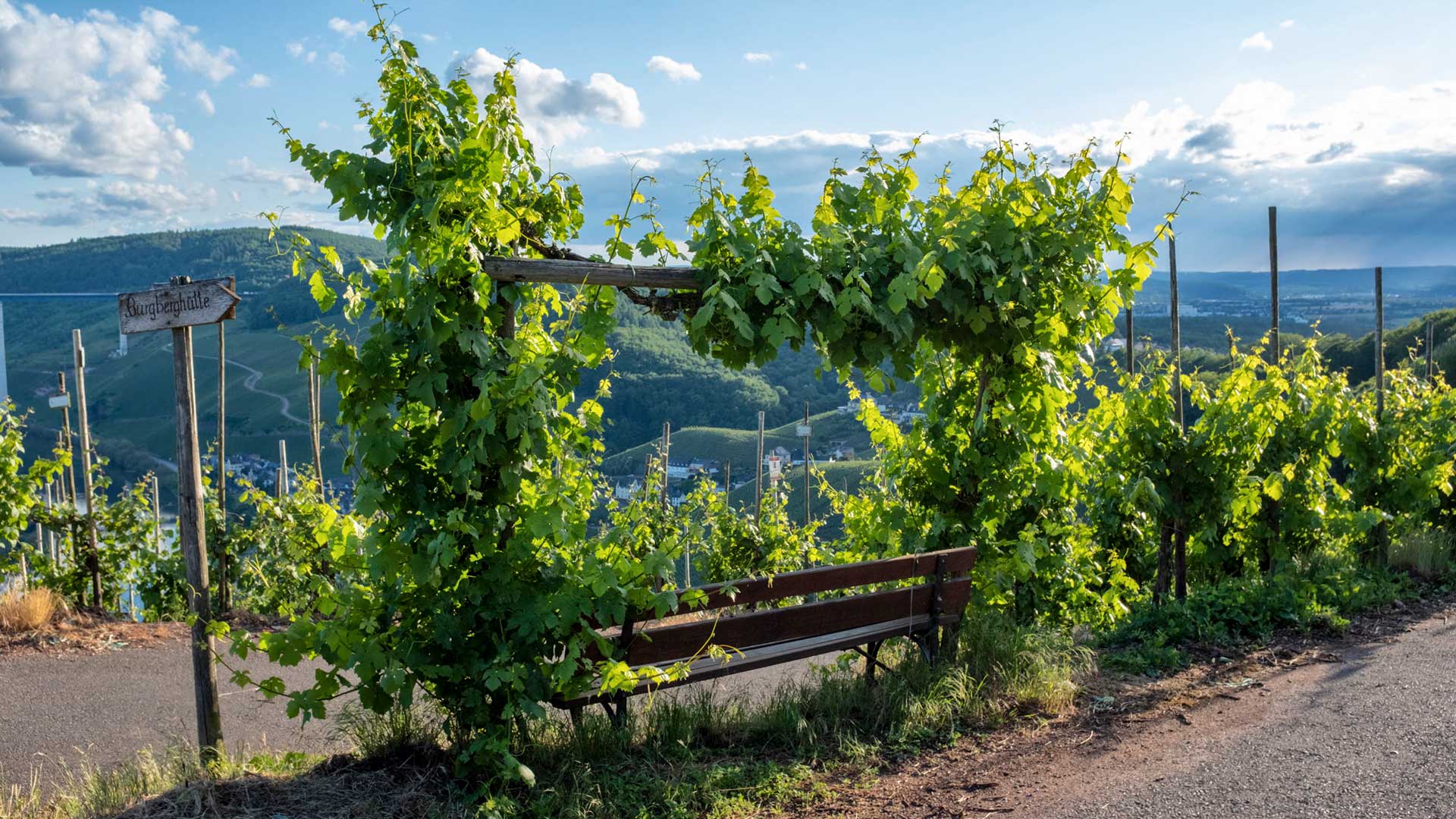 Blick über die Mosel bei Ürzig