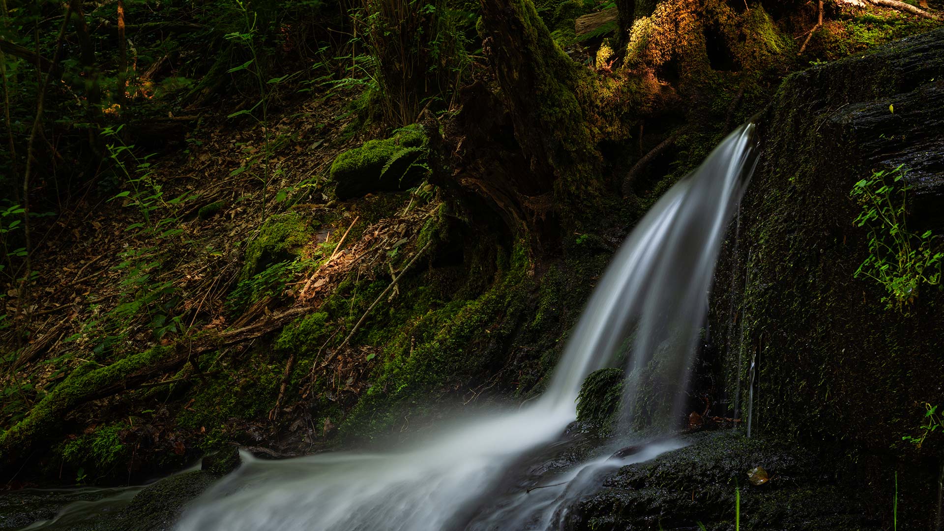 Hölzbachklamm bei Hunolstein im Hunsrück