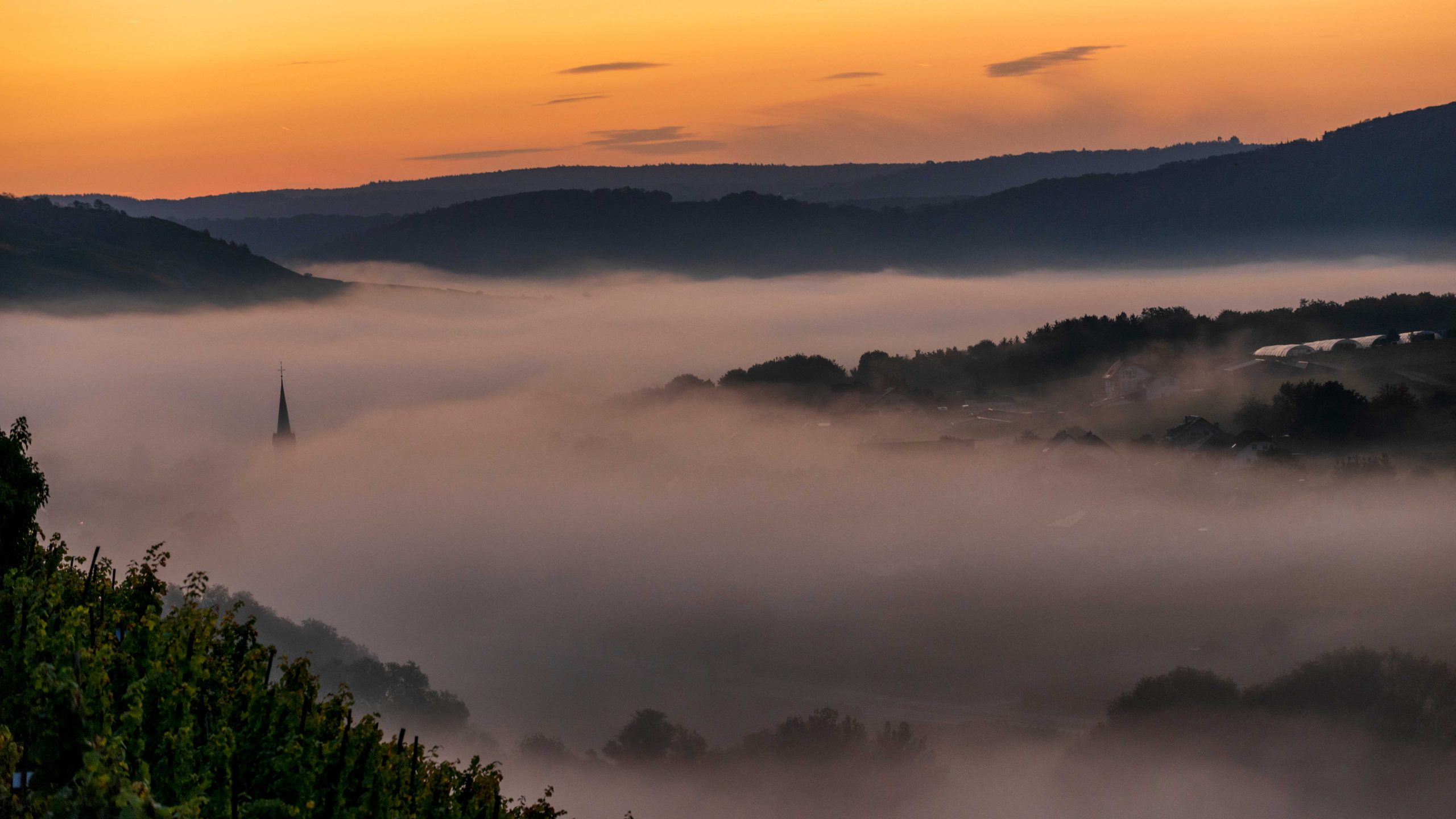 Nebel über der Mosel