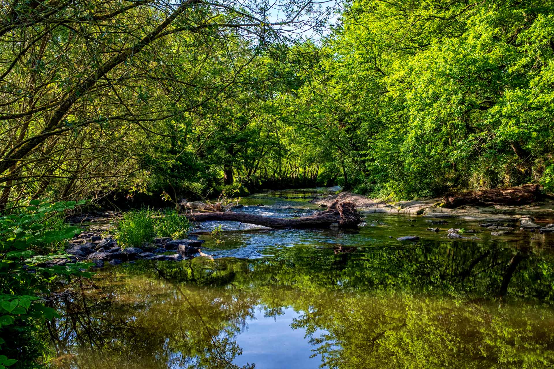 Flusslandschaft der Lieser